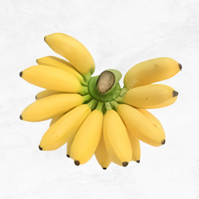Pisang Muli