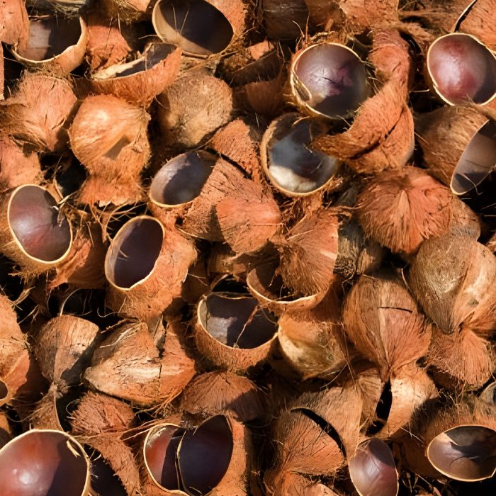Batok Kelapa
